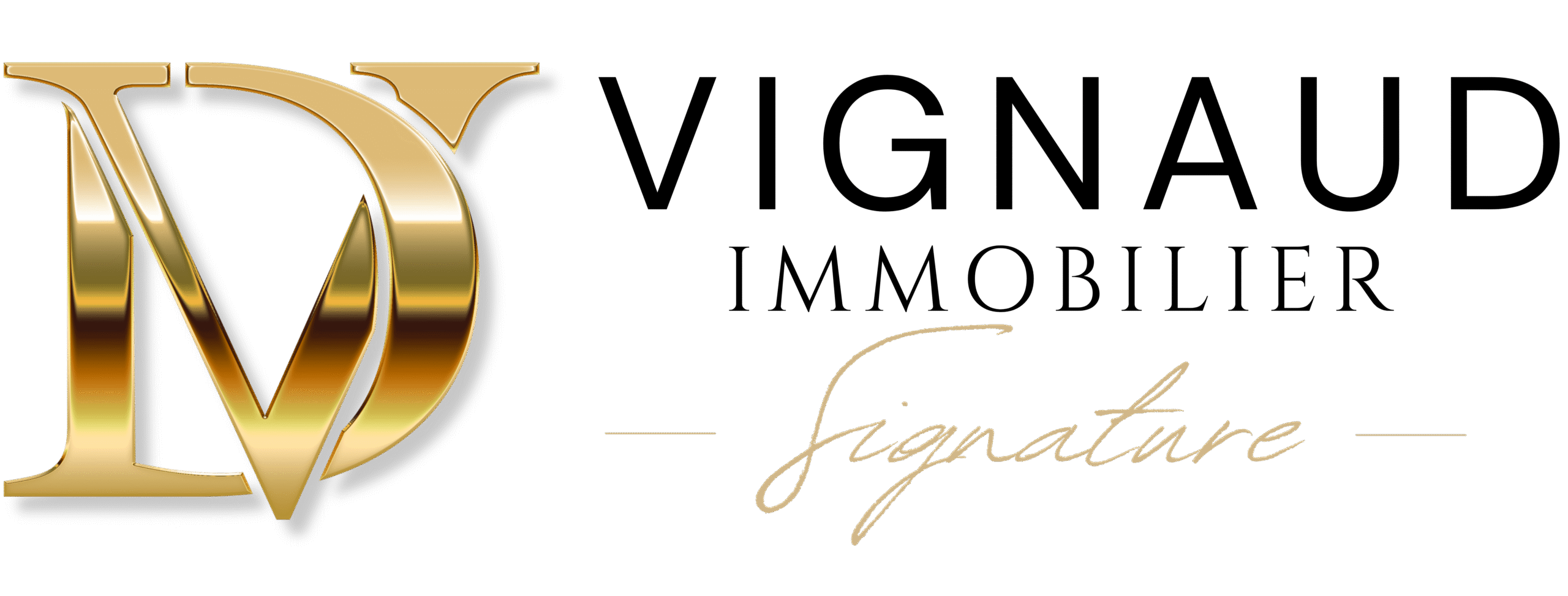 Damien VIGNAUD IMMOBILIER